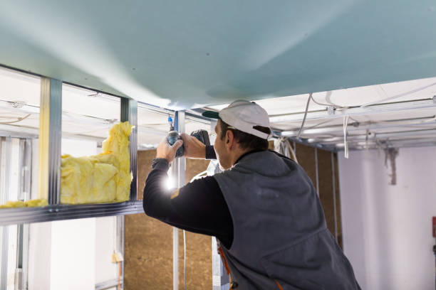 Best Residential Insulation in Danielson, CT